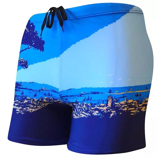 Printed Beach Shorts Trunk